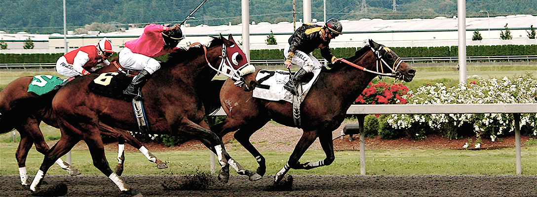 Horse Races for Sports Betting in Vegas