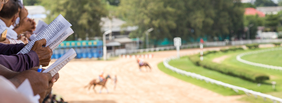 People Betting on Horse Racing